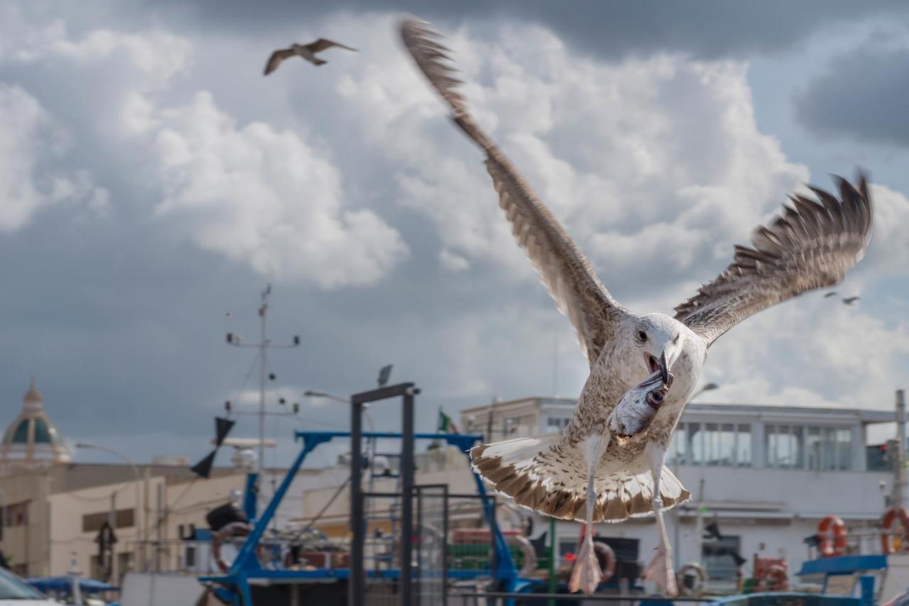 La Caparrita Daire Trapani Dış mekan fotoğraf